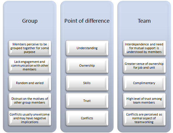 Groups vs. Teams: What's the Difference?