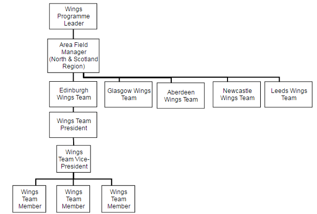 Red Bull Organizational Structure