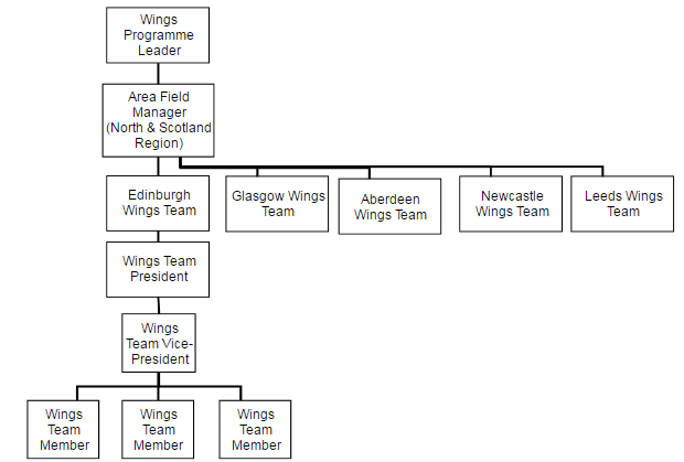 Gopro Organizational Chart