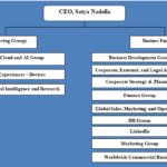 Microsoft Organizational Structure