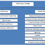 Microsoft Organizational Structure