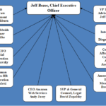 Amazon Organizational Structure