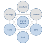 IKEA McKinsey 7S Model