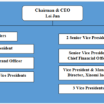 Xiaomi Organizational Structure