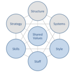 Amazon McKinsey 7S Model