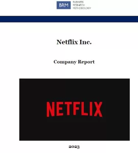 netflix research report